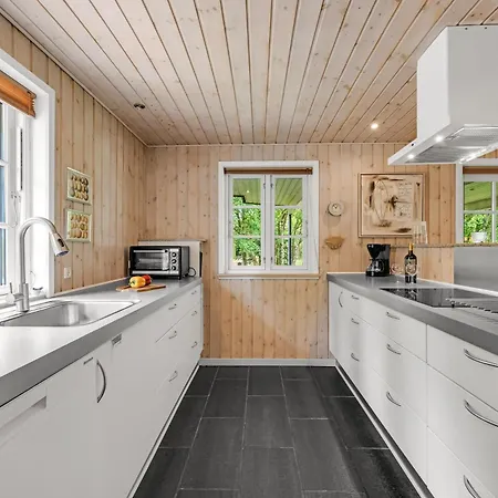 Large With Large Outdoor Wilderness Bath And Activity Room, Only 500 Meters From Stauning Harbor Feriehus Skjern